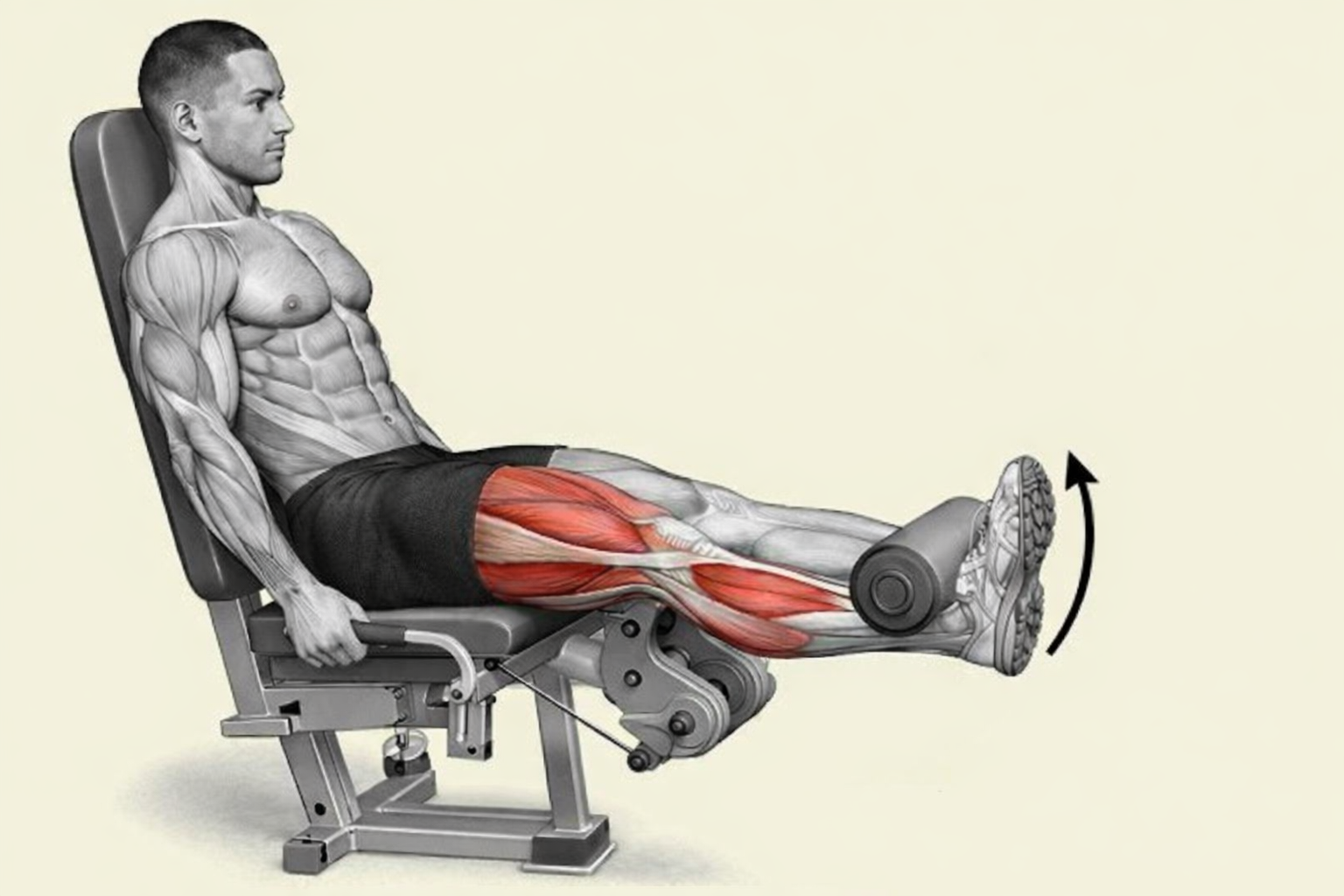 leg extension vežba za kvadriceps